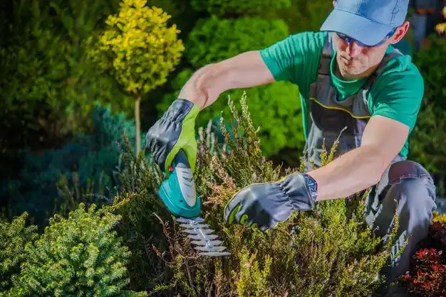 landscaping services Guthrie